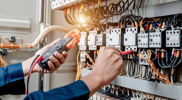 Best Home Electrical Repair  in Big Rapids, MI